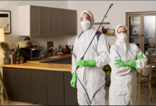 A Room-by-Room Pest Prevention Plan for Every Season