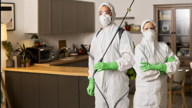 A Room-by-Room Pest Prevention Plan for Every Season A Room-by-Room Pest Prevention Plan for Every Season